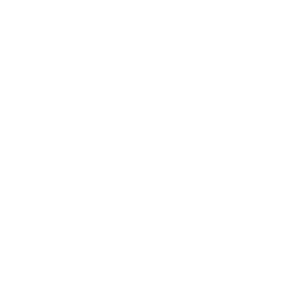 Интеллектуальные системы